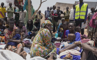 Human Rights Monitoring