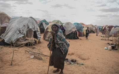 Widening Civil Society Space in the Horn of Africa-Profile